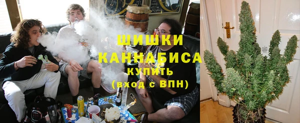 ешки Аркадак