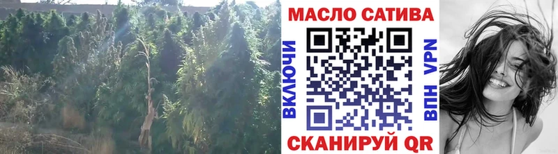 Купить  Белёв  ТГК гашишное масло 