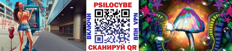 Псилоцибиновые грибы Psilocybe  Купить  Белёв 